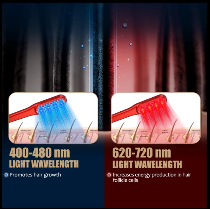 Laser Hair Growth Comb, Red Li - Hair Care Basic review and price